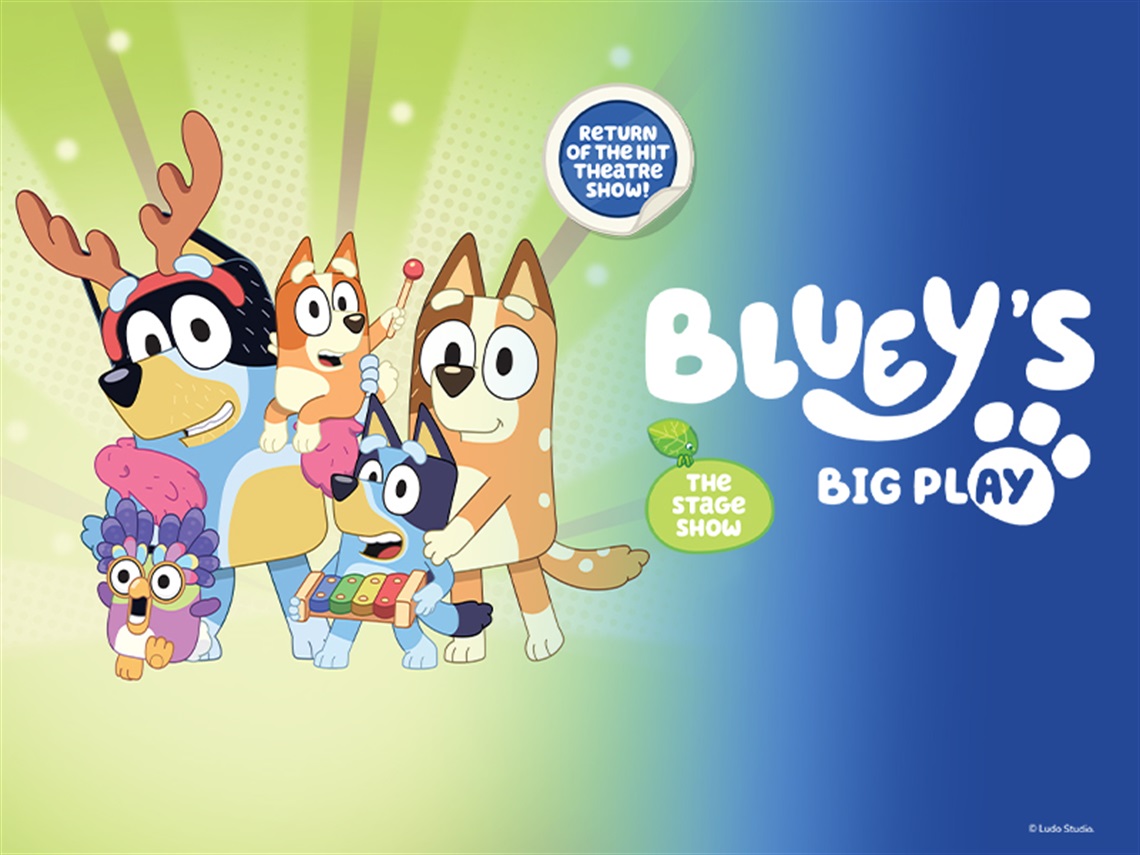 Bluey26-Wangarratta-800x600-V2 (1).jpg